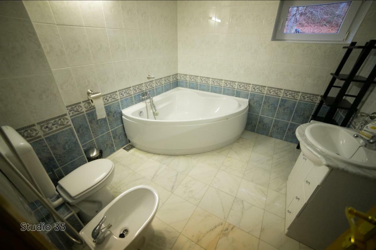 Studio 35 Buşteni Buitenkant foto