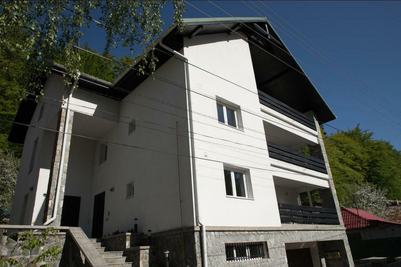 Studio 35 Buşteni Buitenkant foto